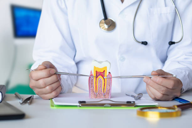 Best Tooth Pain Emergency Relief  in Bucyrus, OH